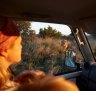 Africa safari driving tips: Why preparing for a holiday can be almost as much fun as doing it