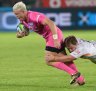 Bulls hold off Cheetahs to win Super Rugby nail-biter in Pretoria