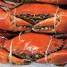 Chef's Table: BBQ Lennox Hastie episode: Where to find the mud crabs from the Netflix series