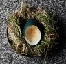 Emu egg sabayon sweetened with sugarbag honey over Daintree chocolate sorbet.