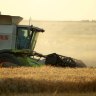 Barley farmers have had a tough year.