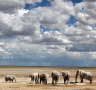 Etosha National Park and Damaraland, Namibia: One of the best places to see African wildlife