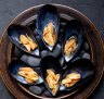 Go-to dish: Green-chilli pickled mussels.