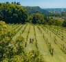 Queensland's Vine and Shine Trail: Why you should head to the Sunshine State for wine