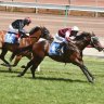 Young Goulburn trainer Kurt Goldman wins Inglis Dash