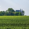 Medoc's beautiful vineyards.