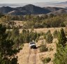 On safari in Australia on the Arkaba Conservancy, Flinders Ranges, South Australia.