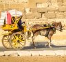 Animal welfare in Egypt: Cairo's Brooke Hospital is helping the horses that serve tourists