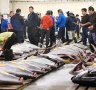 Tokyo's famed Tsukiji fish market holds last auction before move