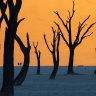 Arrive at Deadvlei five minutes late and you'll miss the most photogenic scene on Earth.