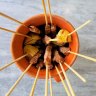 Arrosticini are served in terracotta jugs.