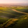 McLaren Vale in South Australia.