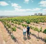 Strolling through the vineyards at Barwon Ridge, Moorabool Valley.