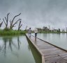 The boardwalk is the most popular of Banrock Station's walks, providing a glimpse into the wetland's vitality.