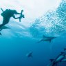 Leap of faith: Scuba diving.