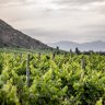 Veramonte Winery in the Casablanca Valley, which produces more than 2.1 million bottles of wine a year.