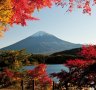 Watching the seasons change is one of the joys of visiting Japan in the off-season.