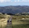 Thredbo, NSW, travel guide and things to do: Nine highlights in summer