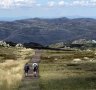 Summer in Thredbo isn't short of hiking options.