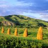 Romania, Maramures region, Carpathians mountains.