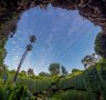 Umpherston Sinkhole, Mount Gambier.