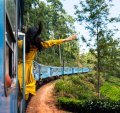 A woman enjoys the train ride through Sri Lanka tea plantations.