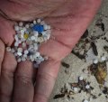 Dave West holds small bits of plastic that he found on the beach. 