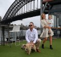 Dan and Amalie Knox with their son Darcy and terrier Scout at Pier One.