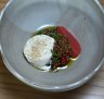 Strawberry puree with buffalo ice-cream.
