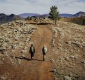 Arkaba walk, South Australia.