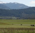 Towards the Pyrenees, near Espezel.