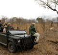 Tourists watching cheetah during a game drive in Sabi Sand Private Game Reserve.