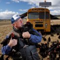 Papanui Open Range Eggs farm in Merriwa NSW promote a 'true' freerange model for their chicken farm. They use busses converted into mobile chicken coups to move the birds around their farm.