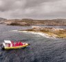 Seals at Anderson Islets.
