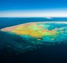 The Great Barrier Reef around Hamilton Island has been unaffected by the bleaching that has hit other parts of the natural wonder.