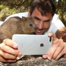 Roger Federer's quokka selfie in 2018 became a viral hit.