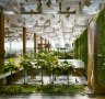 The vertical 'green wall' garden in Terminal 3 at Changi Airport.