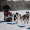 Six of the best winter adventures in Scandinavia