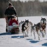 Husky sledding in Lahti, Finland.