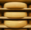 Wheels of Switzerland's most famous cheese matures on wooden shelves in Gruyeres.