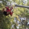 Three times the length of any tree-base zipline in the world: The Crazy Rider.