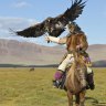 A Kazakh eagle hunter on horseback.