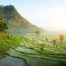 Guide to the best month, season and things to see and do in Bali