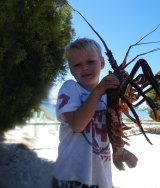 Rottnest is a crayfish-loving kid's playground.