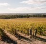 McLaren Vale wineries: Six of the best to visit