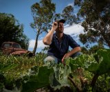 Wayne Shields among his damaged crops which are being affected by urban encroachment.