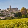 Ripe black grapes in vineyard and the town of St Emilion.