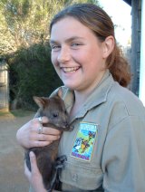 Wildlife carer Toni Bloomfield with a joey rescued from a wallaby killed on the roads. 