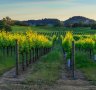 Six of the best: Classic California winery road trips