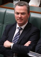 It is understood Christopher Pyne argued that only Liberal MPs should be involved in the decision on a free vote and a move to include the Nationals would be seen as "branch stacking" to sway the outcome.